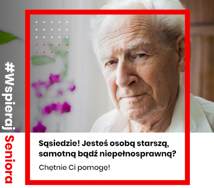 Zdjęcie do artykułu