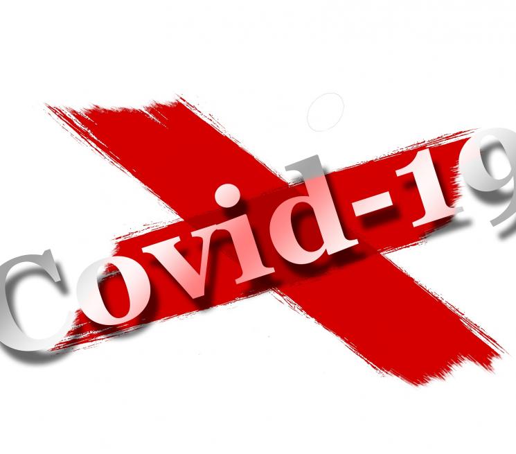 Zdjęcie do artykułu