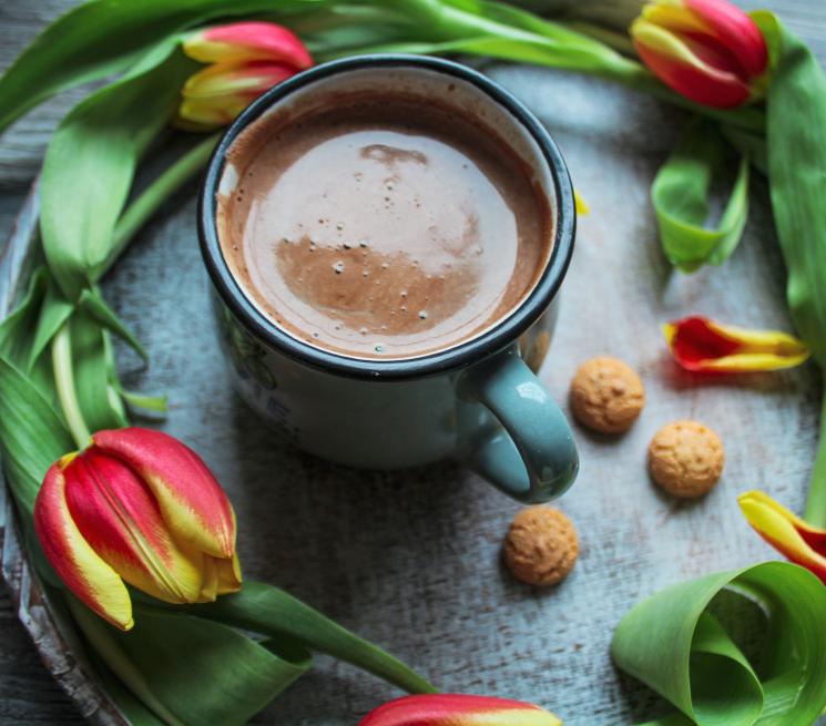 grafika