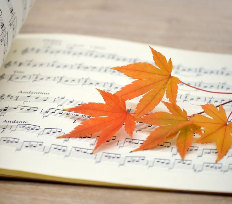 Grafika