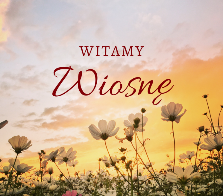 wiosenne kwiaty niebo słońce