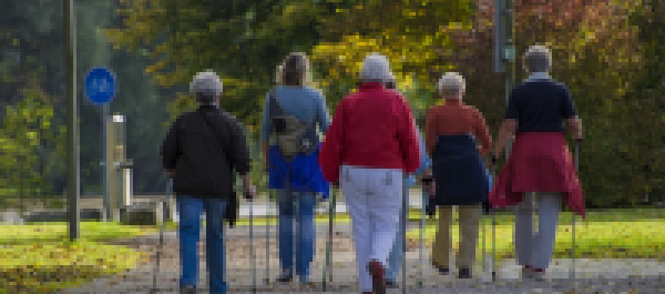 Kalinowy Zakątek zaprasza seniorów na Nordic Walking