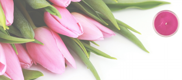 kwiaty tulipany życzenia dzień kobiet